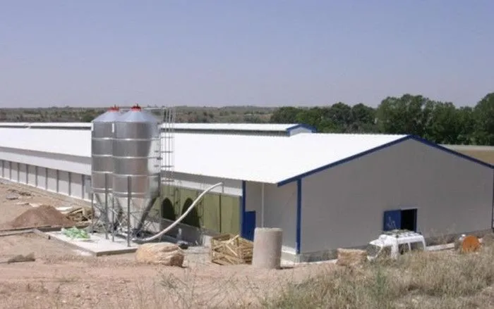 Poultry Farming House